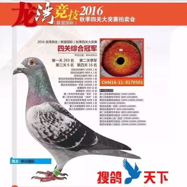 4.webp.jpg
