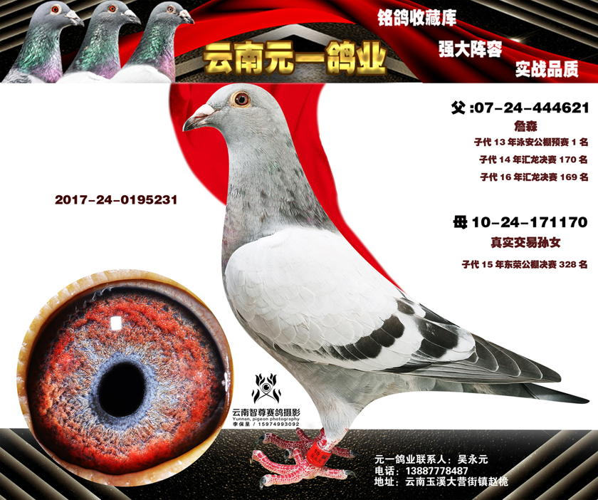 9-2017-24-0195231副本.jpg