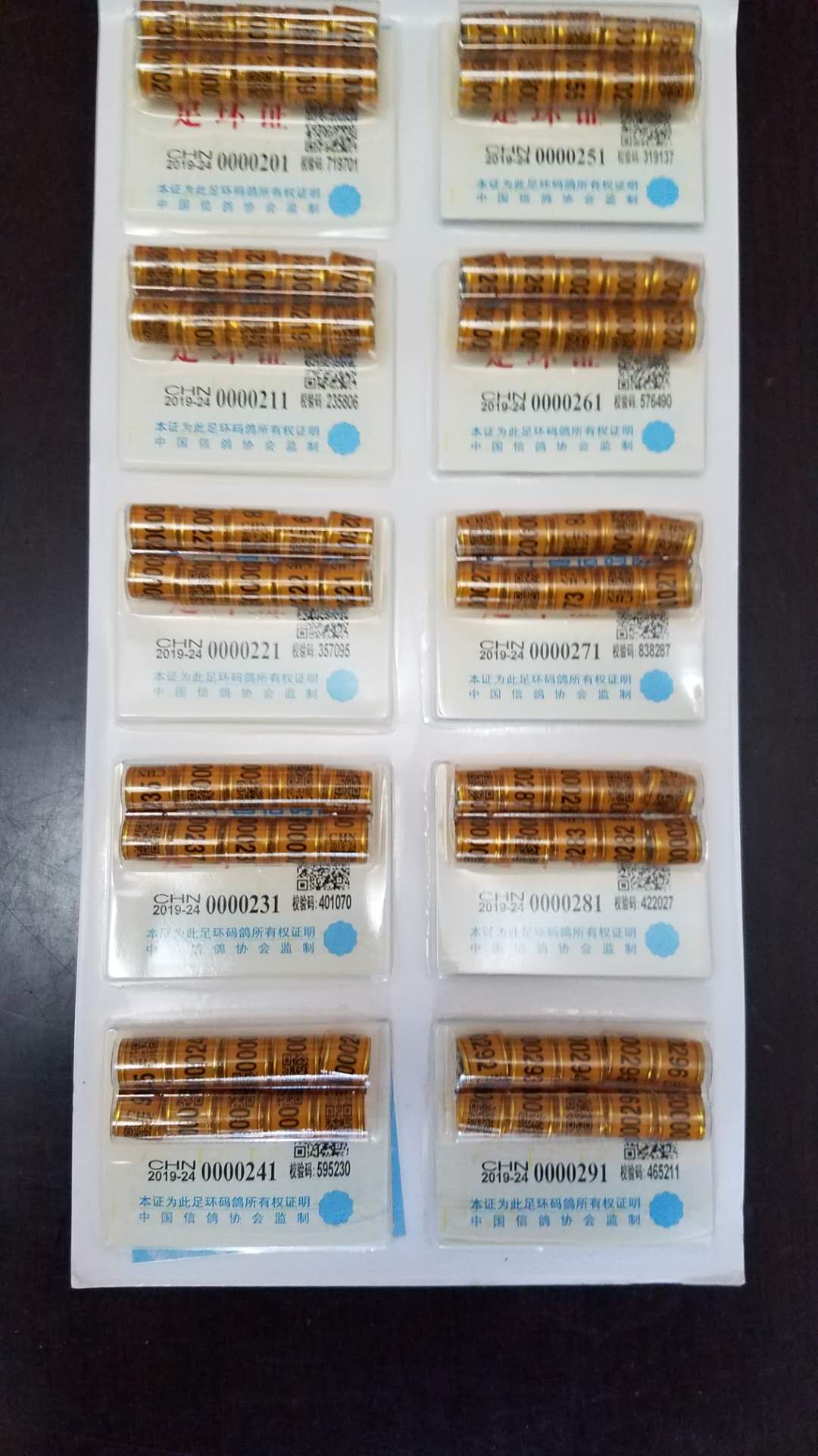 2号段.jpg